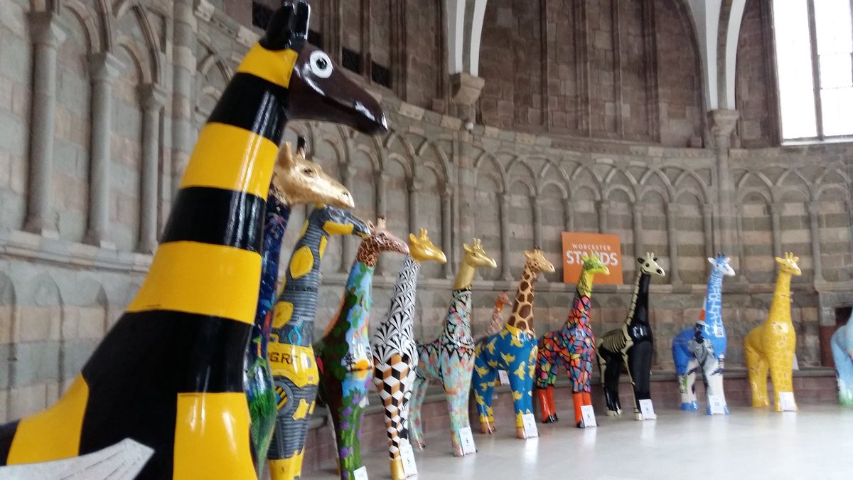 Who's excited to see all our giraffes <a href="/WorcCathedral/">Worcester Cathedral</a>? There's still some tickets available for today and tomorrow - so come along and say hello! #WorcStandsTall #WorcestershireHour