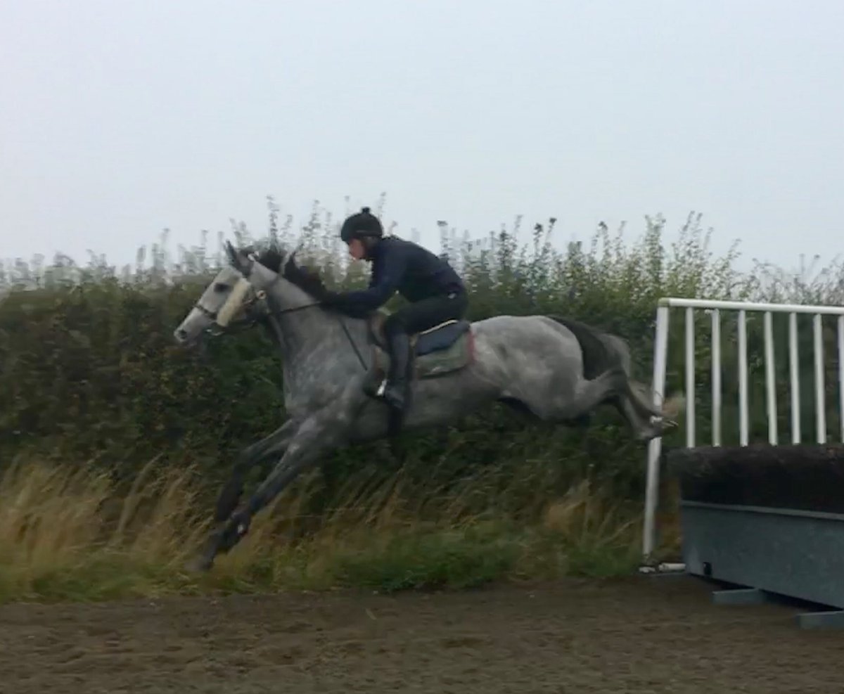JohnWathenBerry's tweet photo. Thank you @jackquinlan92 for another good schooling session for #WhiteValiant on a foggy morning at the Links @NewmarketGallop. God willing, runs @FontwellPark Saturday. https://t.co/NeD59fJAxq