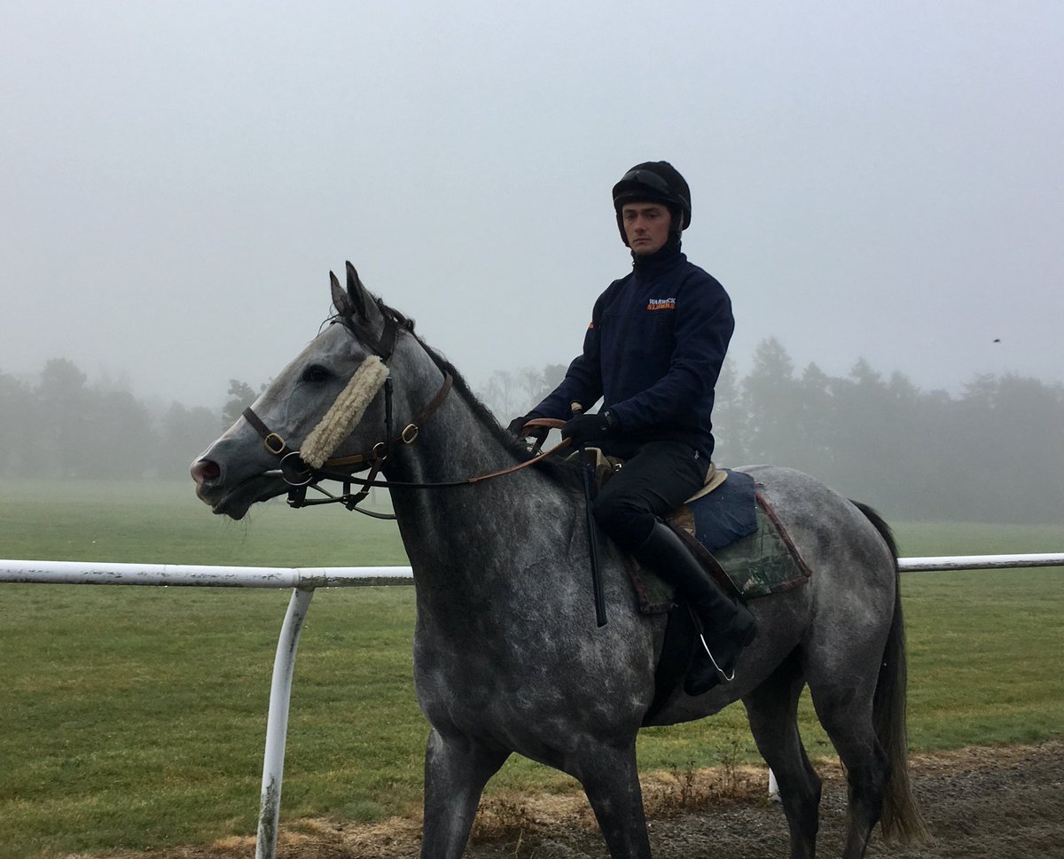 JohnWathenBerry's tweet photo. Thank you @jackquinlan92 for another good schooling session for #WhiteValiant on a foggy morning at the Links @NewmarketGallop. God willing, runs @FontwellPark Saturday. https://t.co/NeD59fJAxq