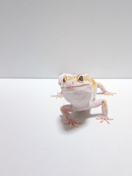 イケメンは目の保養のtwitterイラスト検索結果