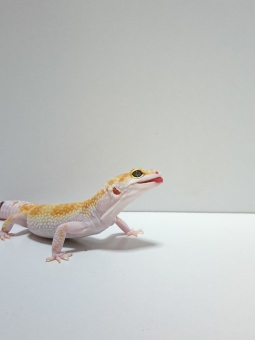 イケメンは目の保養のtwitterイラスト検索結果