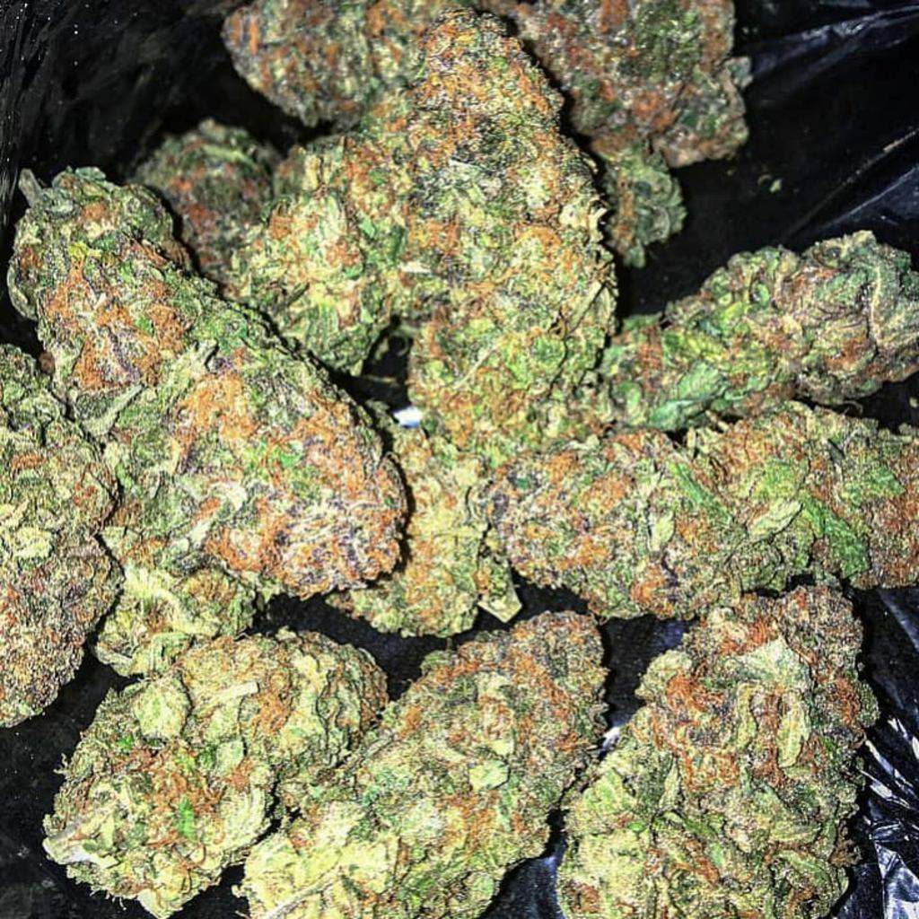 anangbill4's tweet photo. Top shelf  grade A strains at affordable prices 
#Growyourown 
#cannabisnews 
#CannabisCommunity 
#StonerFam 
#Terps 
#Terps
#blunt 
#weedlife 
#CBDProducts 
#cannabisnews 
#StonerNation 
#Kushner https://t.co/WEMUrJtdIi