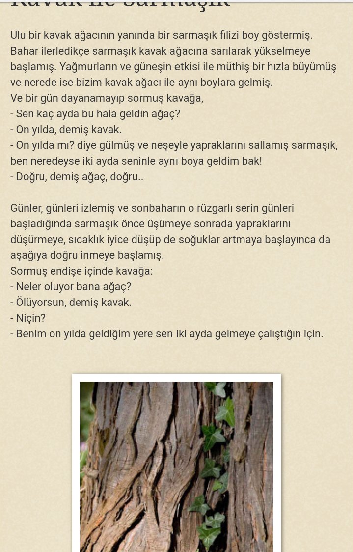 Özgür Demirtaş on Twitter &quot;Bu twitime sizin bu twitinizi layık