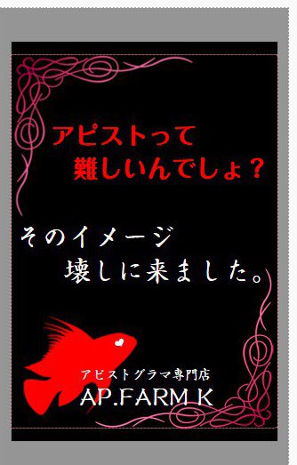 アピスト専門店 Ap Farm K アクアリウムバス初出店を記念して同イベントの入場券を抽選で一名様にプレゼントします まだ手元にチケットないけども W フォロー Rtで応募完了です 6日17時を〆切とさせてください アピスト興味なくてもカモーン アピスト専門店 Ap Farm K アクアリウムバス初出店を記念して同イベントの入場券を抽選で一名様にプレゼントします まだ手元にチケットないけども W フォロー Rtで応募完了です 6日17時を〆切とさせてください アピスト興味なくてもカモーン