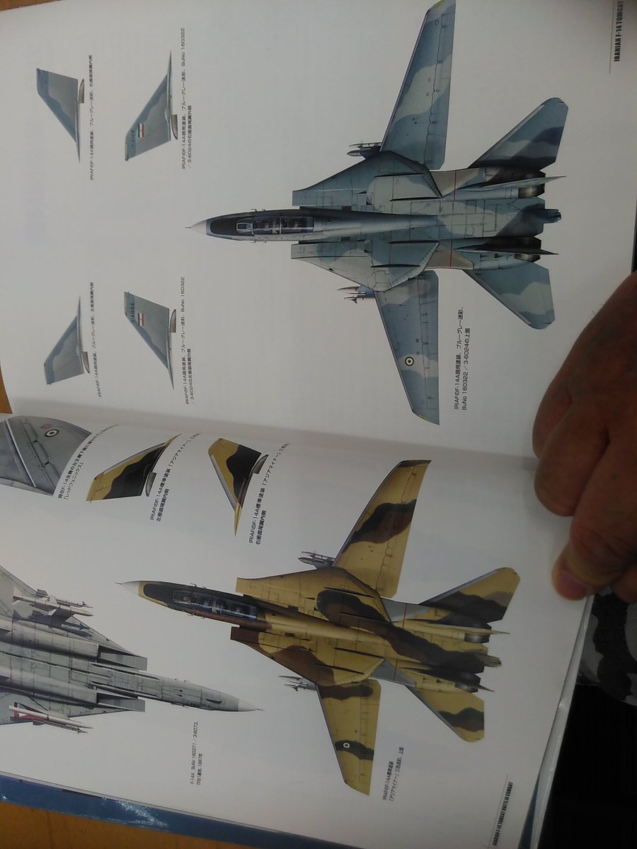 てけ めがねっ子推し On Twitter イラン空軍のf 14トムキャット