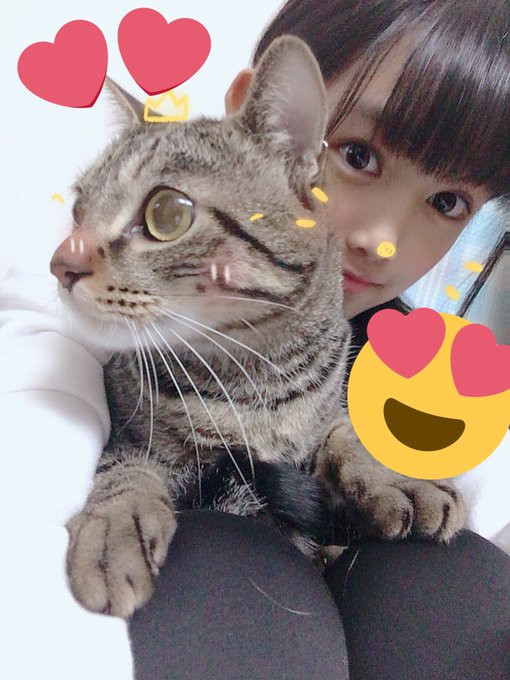 双葉樹里のTwitter画像64