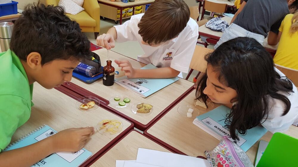 Welcome to Year 6. We look forward to successful year ahead. Please follow us on Twitter for regular updates. Here are year 6D engaged in science activity. More to follow...