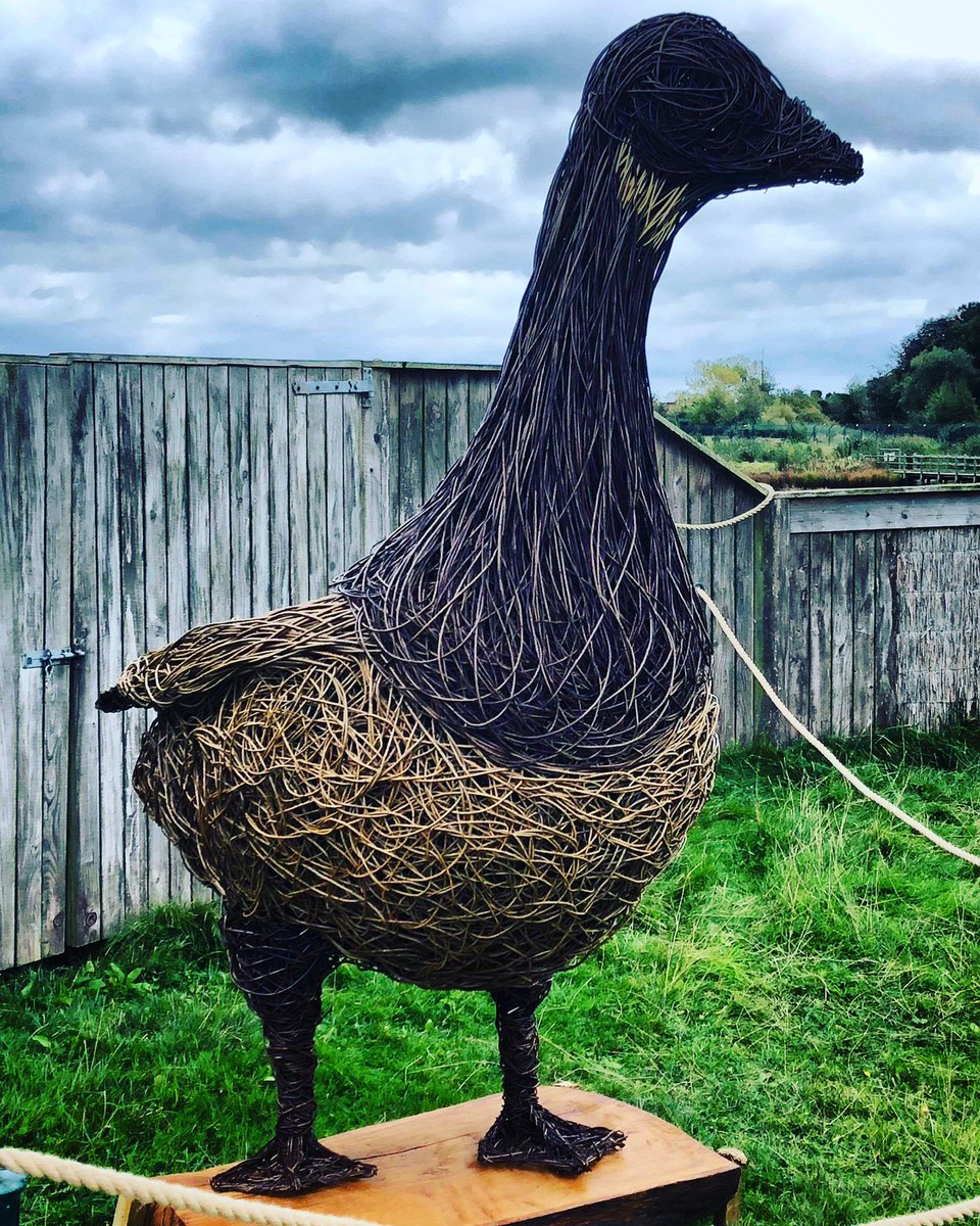 It’s arrived! Our amazing Brent Goose, hand crafted by Welig Heritage Crafts is now on display outside our Brent Discovery Hide! What should we call him?! #brent #brentgoose #nature #wildlife #naturelovers #crafts #naturecrafts #wildlifecrafts #willowcraft #basketery