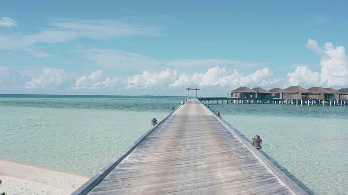 constancehotels's tweet photo. What if you could have your own little piece of #paradise?
Soft #whitesand washed by a #turquoiseLagoon.
See more here: https://t.co/P128n3FTQW
#AllInclusive #BeachHotel #Maldives #ConstanceMoofushi #Holiday #BookYourStay #Travel https://t.co/sLzFzVpkN6