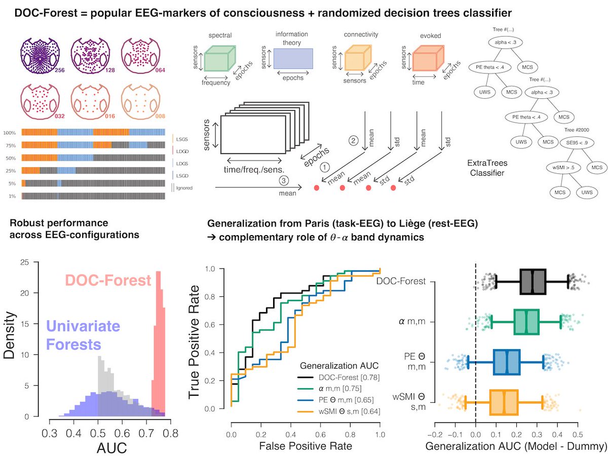 Denis A. Engemann tweet media