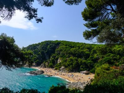 Lloret Turisme (@lloretturisme) on Twitter photo Top things to do in #LloretDeMar, #CostaBrava hubs.ly/H0f0prB0  <a href="/trvbox/">trvbox</a> #mylloret Top things to do in #LloretDeMar, #CostaBrava hubs.ly/H0f0prB0  <a href="/trvbox/">trvbox</a> #mylloret