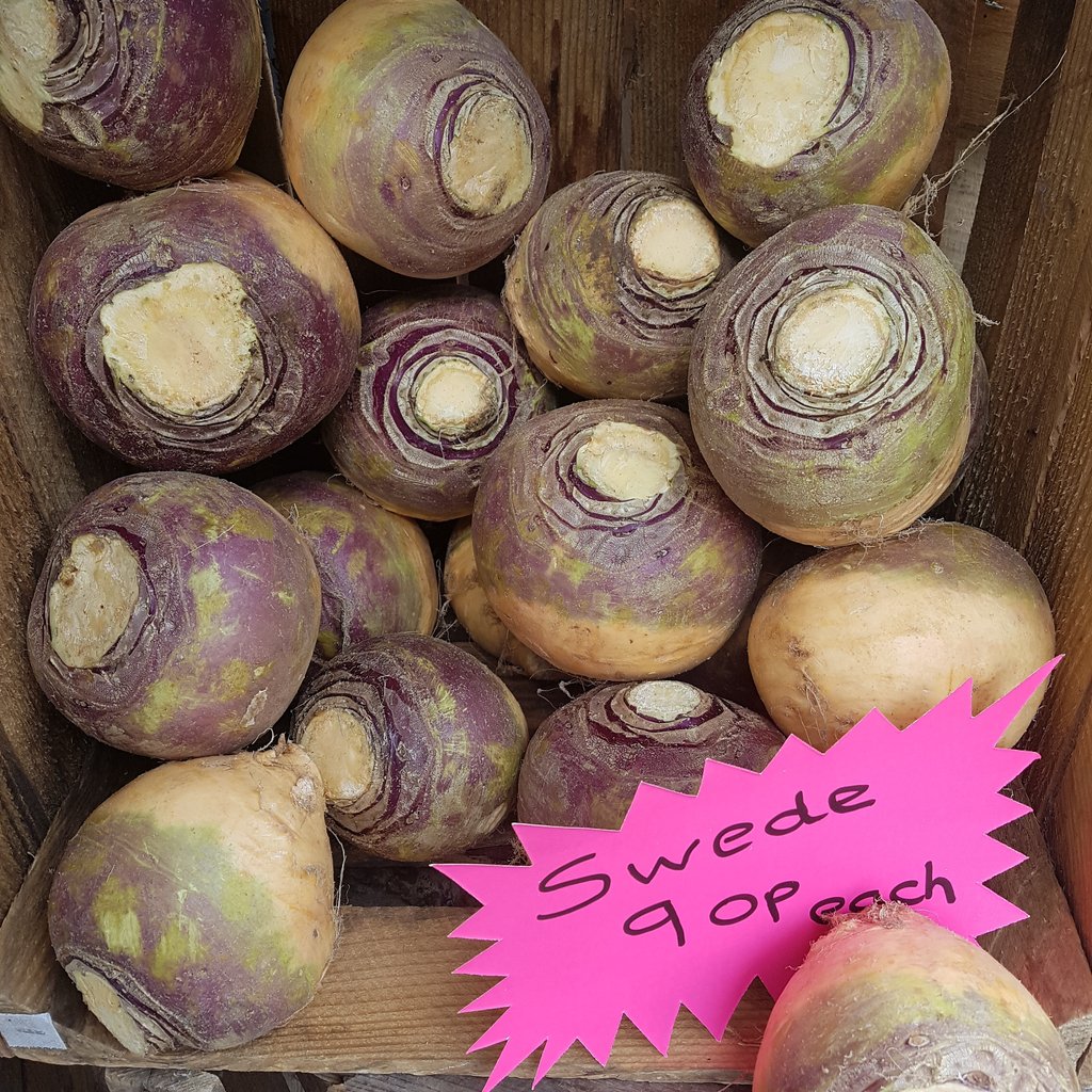 5adayalcester's tweet image. 