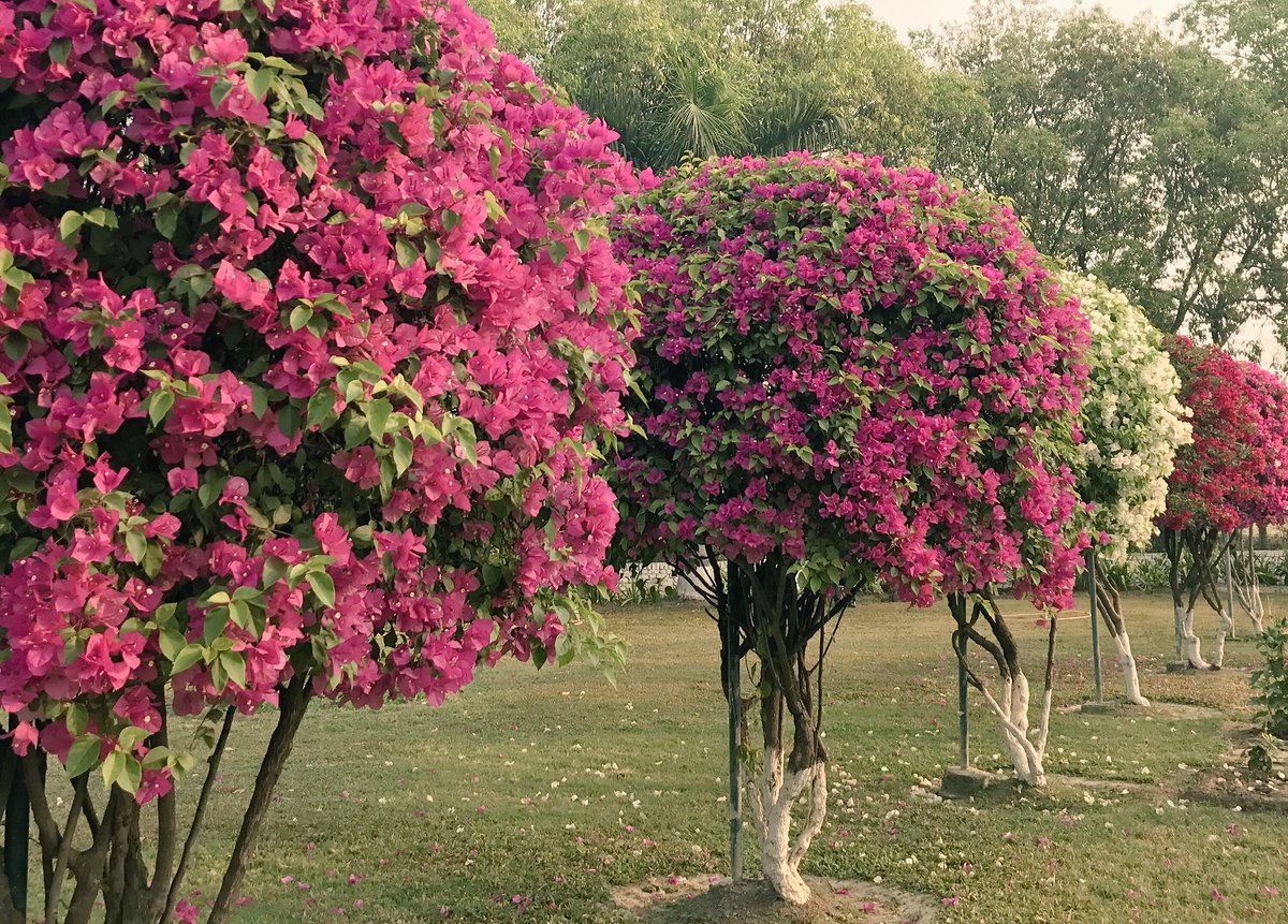 sumitbeatles's tweet image. Great to see someone admitting that - things didn’t work and we are trying to understand why it didn’t - that’s how it should be right ? 

That’s how we build trust among partners and team 

#learningtofail 
#failurematters 

Learn try fail adapt and try again but communicate !