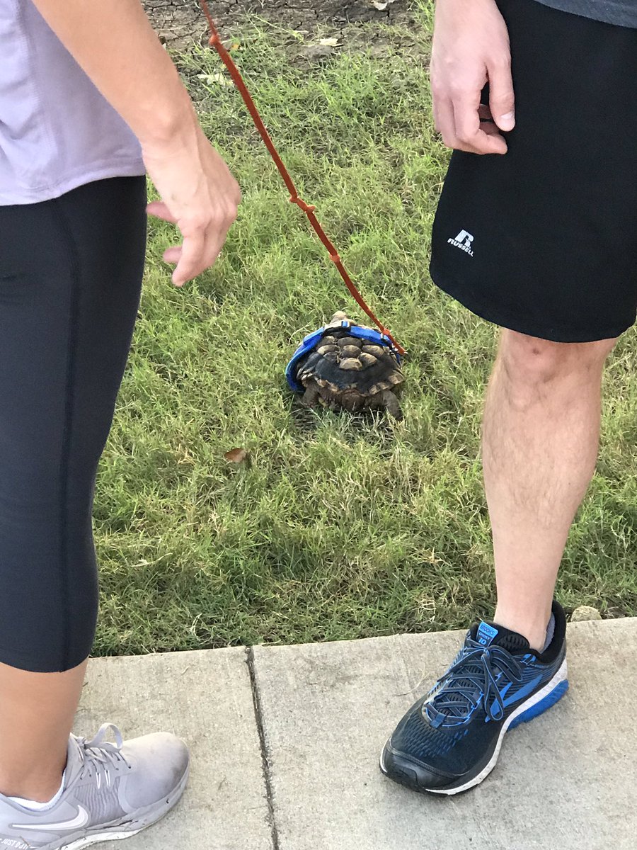 ddodd_gses's tweet photo. Blessing of the Animals today. https://t.co/HyxhQ7Pt8h