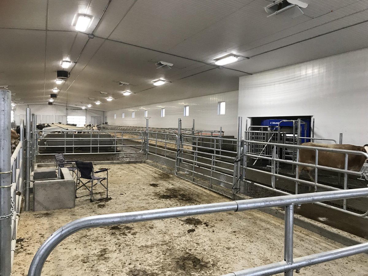 Tough life this robot milking.  When you setup lawn chairs across from robots to watch them milk lol.  Robots working great Greendale startup.<a href="/SaskviewFS/">Saskview Farm Solutions</a>