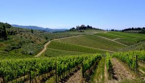 TheWineBarn's tweet photo. Take $10 Off Your Next Visit &amp; + New Arrivals Tasting...Tonight Oct. 4 https://t.co/bFRXimBWgH https://t.co/OUxkqgBjXA