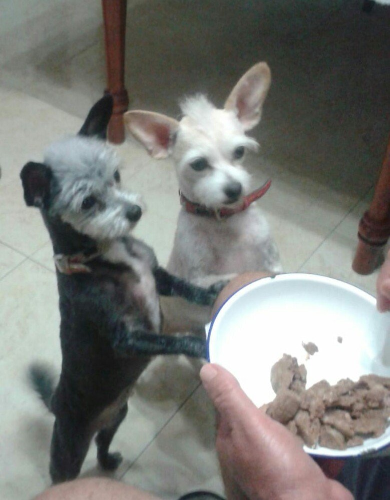 SUSANA NAVARRO tweet media