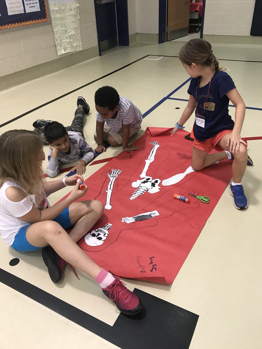 ASFS_PhysEd's tweet photo. 2nd and 3rd grade students learning about muscles and bones! #asfsrocks https://t.co/5DPHVm9KH0