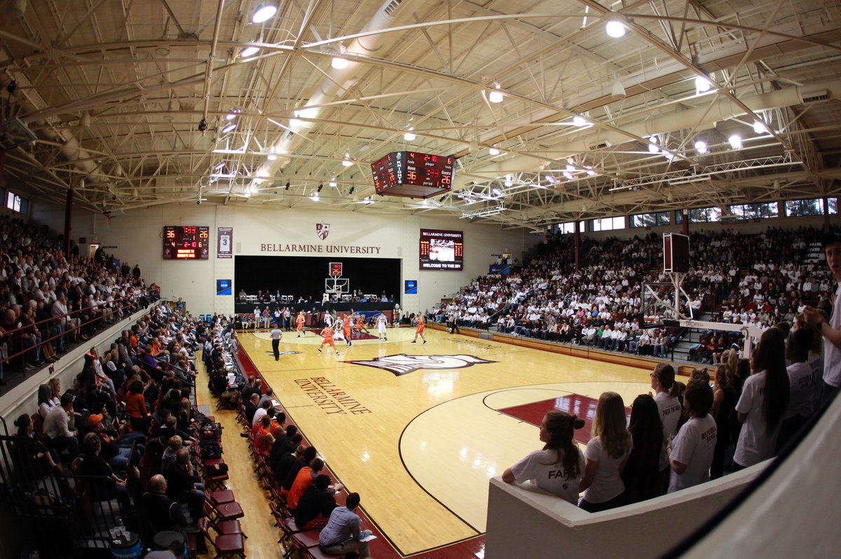 Bash Wieland tweet media