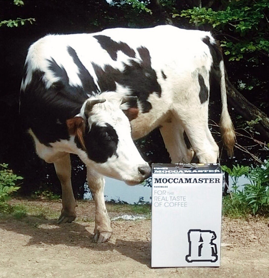 MoccamasterEU's tweet photo. MOCCAMASTER on second thought. ๐
๐ธ @moccamaster_iran
#worldanimalday2018 #dierendag #utrechtseheuvelrug #dutchdesign
#secondthought #filtercoffeemachine #kaffeeliebhaber #fortherealtasteofcoffee moccamaster_eu #moccamaster https://t.co/kMbc1TvLPA
