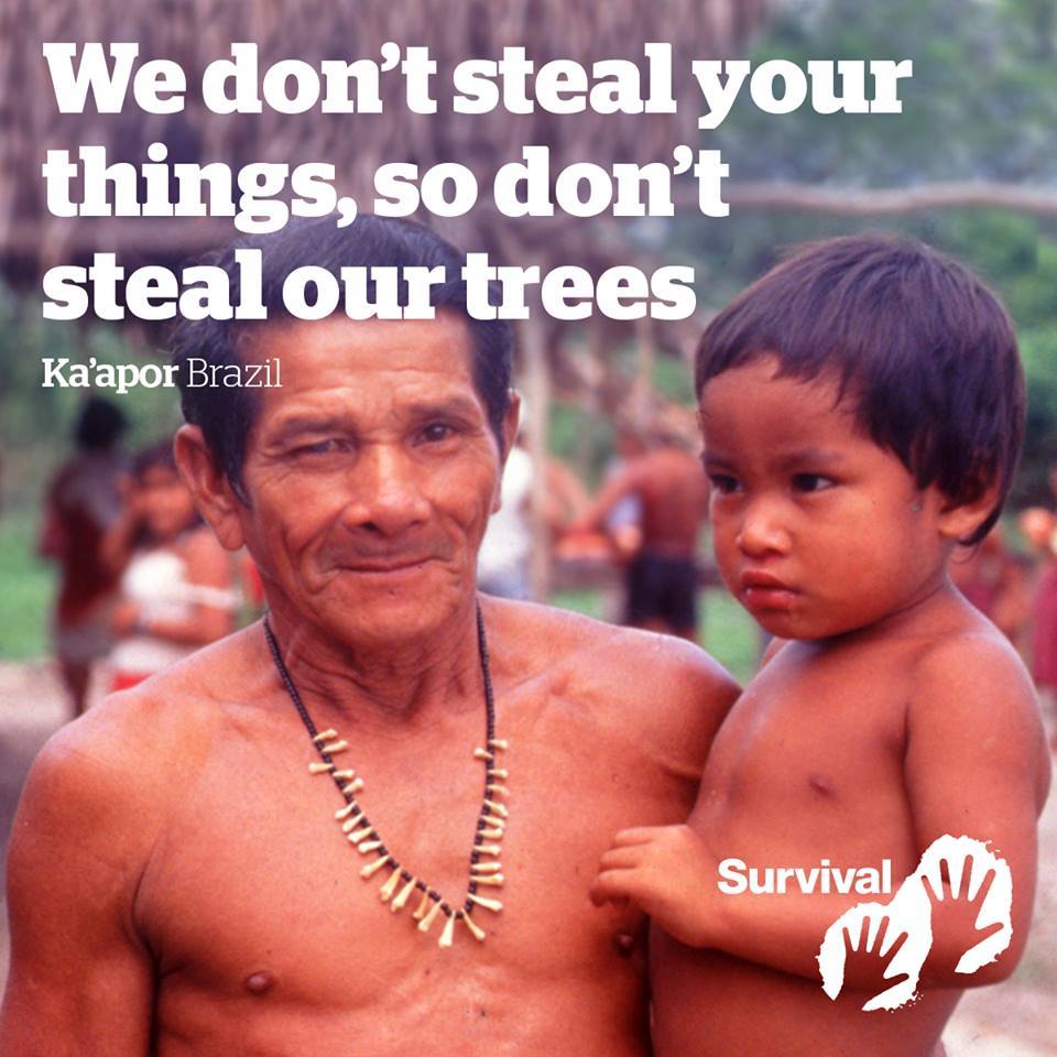 mar_de_sirena's tweet image. Here🧜‍♀️Cá esTou Eu❤️🖤💕💙♥️💚🌳#AmorDeTodaCor💋

SauDaDe❤️Was #Netless💤💤💤
But
I do know YOU do know where I was.👅
SmileSS💚Amor
#NaTureConnecTion💚#Learning a lot with Shamans🙏
WE need to #Learn to #ProTect Our #Strength🙏
#MedicalAnthropology💕#HealTh💕#Knowledge