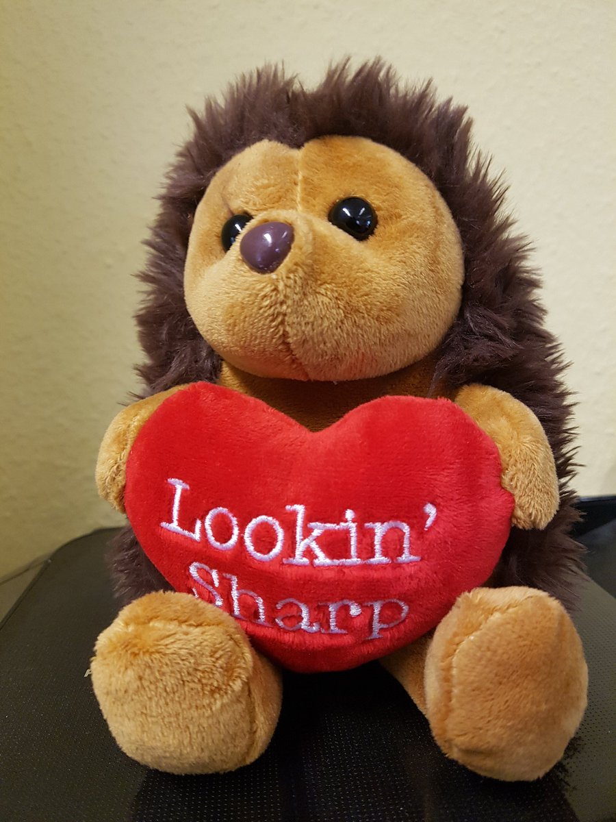 Hedgehog Society tweet media