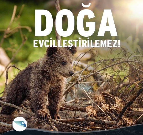 gepatacom's tweet photo. Bu dünyayı beraber paylaştığımızın bilincinde yaşadığımız doğaya sahip çıkalım. Beraber doğayla uyum içinde yaşamak bizim elimizde ✋🏻 Bir gün değil her gün koruyalım! 4 Ekim #HayvanlarıKorumaGünü #gepata #gepatacom https://t.co/b0jODNv2Qq