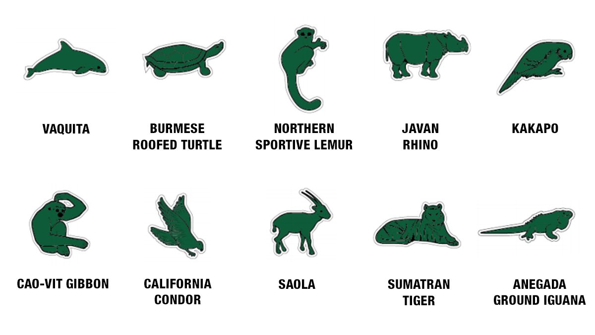 Iucn Di Twitter Call For Proposals Now Open For Projects To Help Save Any One Of These 10 Threatened Species Supported By Lacoste Through Speciessavers Https T Co Kpgts1xfj7 Https T Co Ualbmdggj2