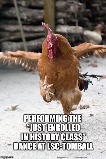 AlmostEdu's tweet photo. The most forbidden of all the dances @LSCTomball #rooster #chicken #thelambada #theforbiddendance #doyoulikethepollo #lonestarcollege #meme #memesdaily #memes #history #historyclass https://t.co/ra7ZUKfDPC