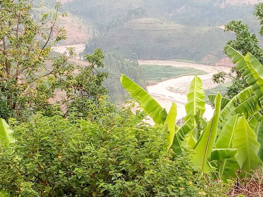 Ikiriho's tweet photo. Forte pollution de la rivière #Mwogere serpentant entre les collines de #Rorero et #Kivuvu en commune #Kabarore (@KayanzaProvince, Nord du #Burundi) par les activités de nettoyage de minerais. Les agriculteurs sont inquiets: «Plus rien ne pousse en-deçà de 5 m de la rive» https://t.co/2amjzTZdPm