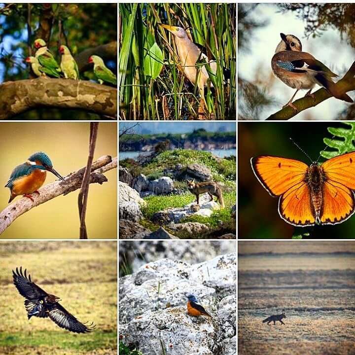 İVHO (@_ivho) on Twitter photo Biyoçeşitliliği korumak hepimizin sorumluluğu. Doğal yaşam alanlarını koruyalım...
#HayvanlarıKorumaGünü
Foto: <a href="/coraman/">Emrah Çoraman</a> Biyoçeşitliliği korumak hepimizin sorumluluğu. Doğal yaşam alanlarını koruyalım...
#HayvanlarıKorumaGünü
Foto: <a href="/coraman/">Emrah Çoraman</a>