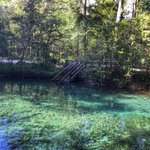 Photo by Ginnie Springs (@GinnieSprings)