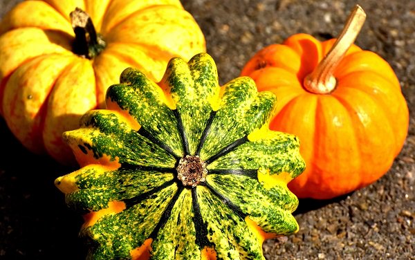 amirkingo's tweet photo. Squash is an excellent source of manganese. In a clinical trial,  however, women who had consumed large amounts of this mineral salt in  their daily diet had fewer depressive problems and pelvic pain. 
https://t.co/U0OUexKbf8 https://t.co/8DStxUclr8