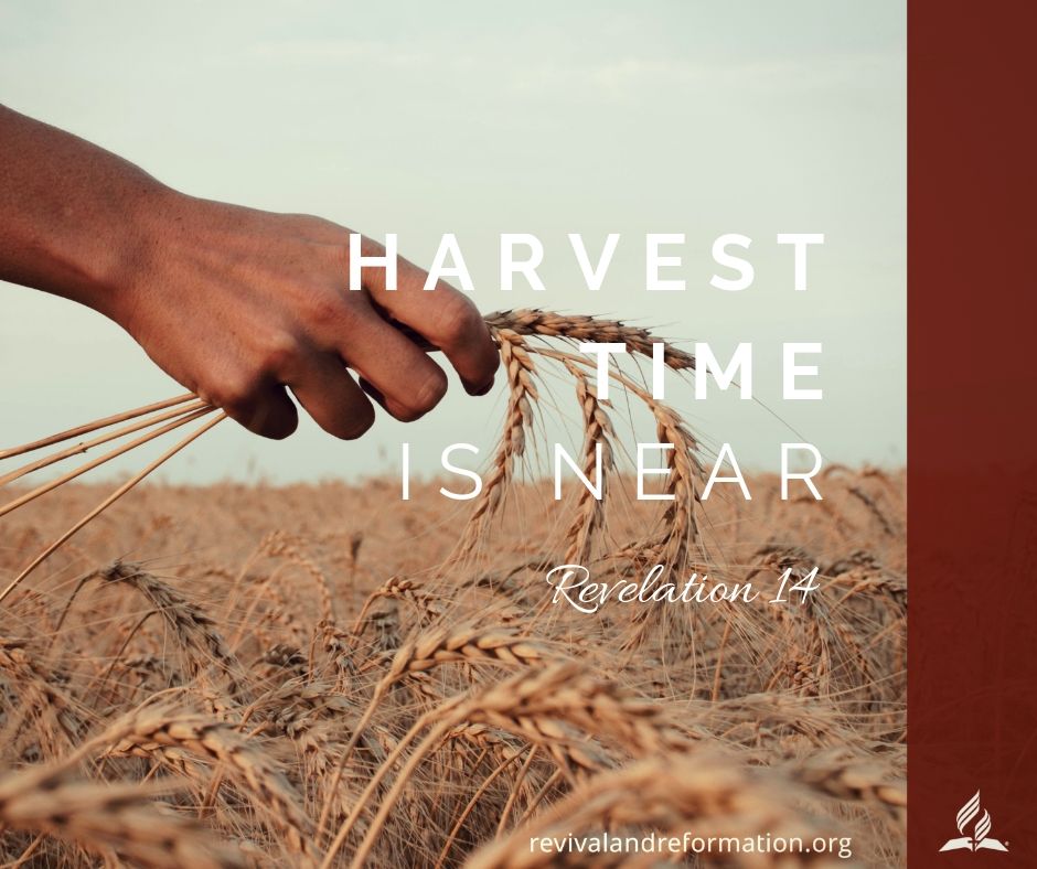 Revive_Reform's tweet photo. There is no doubt, when we look at world events, that the end is drawing closer, and the Lord is preparing for the harvest. Are you ready? https://t.co/GEhdQAaSFM #BHP20 #harvesttime #Jesus #heartprep #changemyheart #salvation #eternallife https://t.co/pb6FYZ8tWp