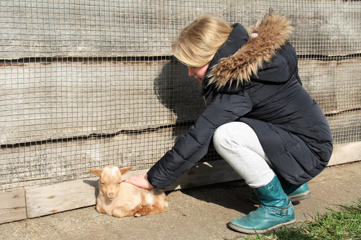DIERENDAG ❤ Tijd om je allerliefste hond, kat, konijn, varkentje of cavia te verwennen met wel 1000 extra knuffels 🐩🐰🦄😍 Heb je geen huisdier? Breng dan een bezoekje aan Stichting Kinderboerderij Uden of Dierenpark Zie-ZOO en bezorg ze de Dierendag van hun leven!