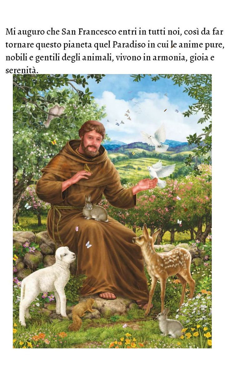 Max Sabatini (@maxsabatini1) on Twitter photo 