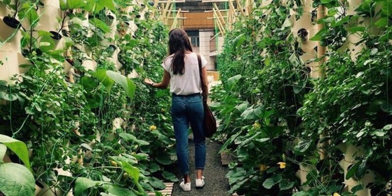 Paris's tweet photo. Connaissez-vous le Testeur de commerce de la @Semaest ? C'est une boutique qui permet aux entrepreneurs de tester, sur une durée déterminée, leur concept en conditions réelles avant de se lancer 👍 

👉 https://t.co/1tbeddr2cU https://t.co/mfOYAUnFzt