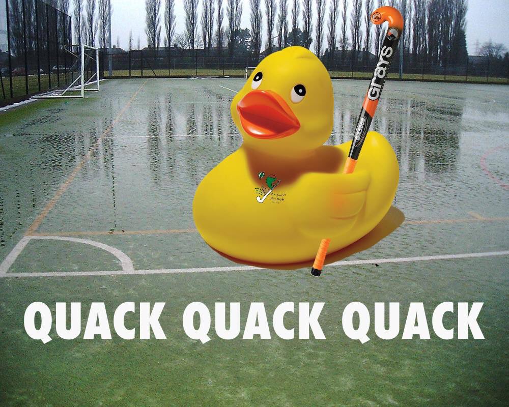 KnowleHockey's tweet photo. Coming soon to a pitch near you...
Knowle 2s v Knowle 3s training game at @MASFBristol
and
Knowle 1s v @brandsladies3s
🌧☔️🏑
#hockeyfamily #GoKnowle #letsplayduckhockey #quackquackquack #FlyingV #splishsplash #teamwork #ThisGirlCan https://t.co/vS45bunSIV