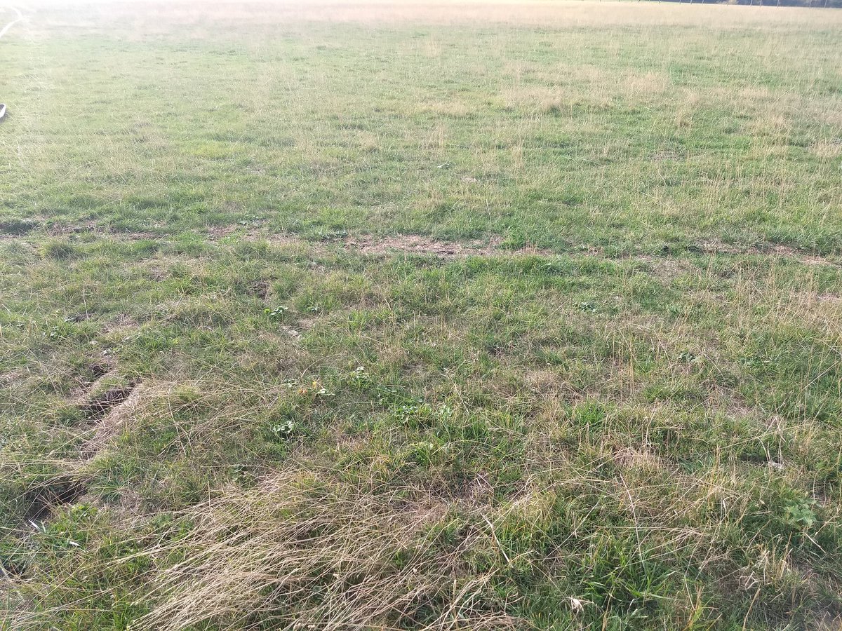 TomHillbil's tweet photo. Still a bit dry in North Bedfordshire #drought18 at least this 120h is going to get a few tonnes of the good stuff 💩💩💩💩 #pas110 #digestate @WhitesRecycling https://t.co/nVTt9Ok1uF