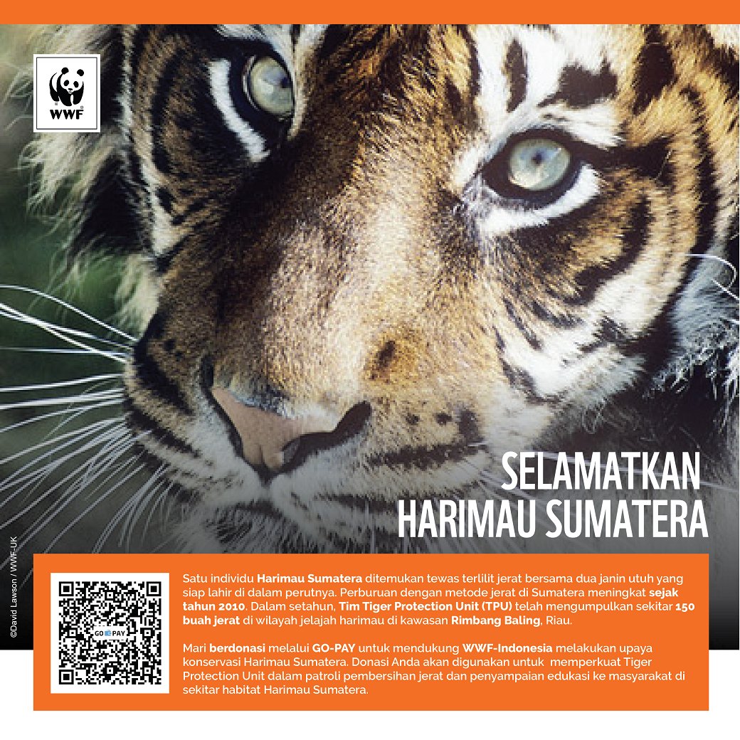 WWF_ID's tweet image. Sobat kini kamu bisa donasi via @GOPAY_ID Cukup buka aplikasi GO-JEK di 📱 dan pilih “Pay” lalu pindai QR Code #WWFID. Semakin banyak cara untuk membantu melestarikan satwa dan alam di Indonesia ❤🐯 #DoubleTigers wwf.id/gopay