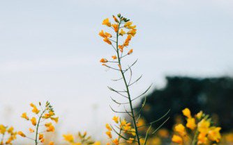 according2jwest's tweet image. Introducing #Servlet40 #ServerPush Using #SpringBoot 2.1 dlvr.it/QmGVFg