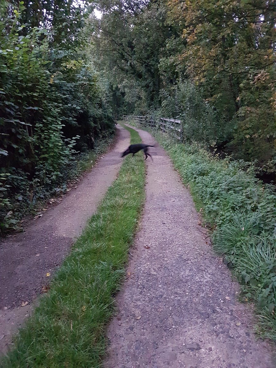 Wellbeing Officer Holly decided that before jumping on the train for a busy day in London, an early morning stroll and some fresh air was just the ticket!