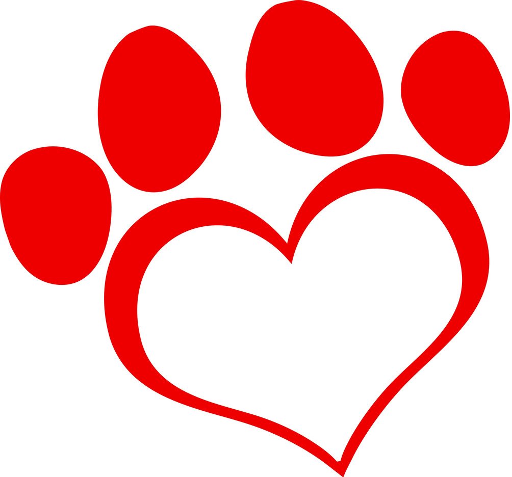 TheTime2Project's tweet image. You have a week left to apply for the role of our new Lionesses worker! Find out more on our website basisyorkshire.org.uk/about-us/vacan…