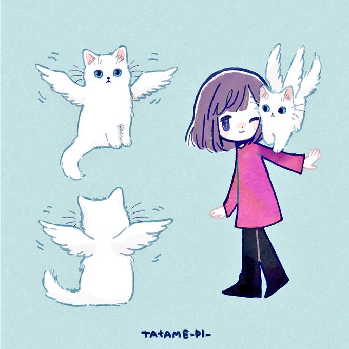 「前髪 白い猫」のTwitter画像/イラスト(古い順)