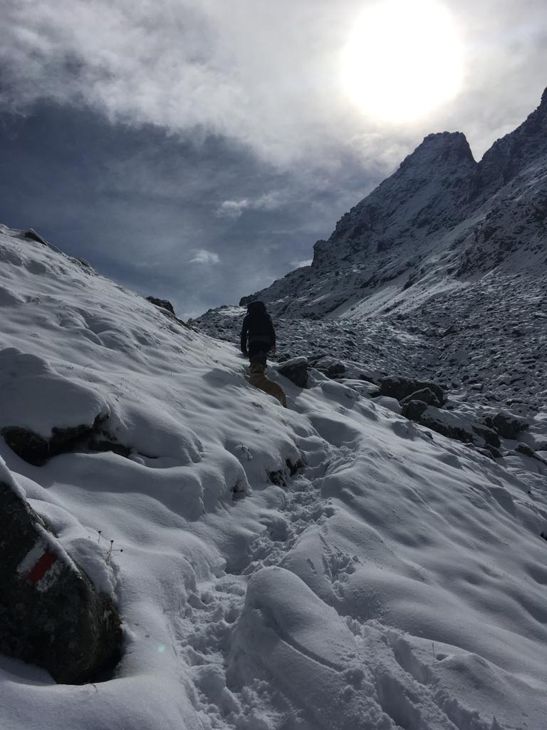 SkiVerbierExclu's tweet photo. Signs of winter approaching in Verbier.....
#newseason #earlysnowfall #swissalps https://t.co/FQ1F5DIvsw