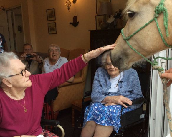 Happy #WorldAnimalDay! Today we're celebrating #TherapyAnimals and the profound effect they can have on the wellbeing of older people 🦙🐶🐴🐔