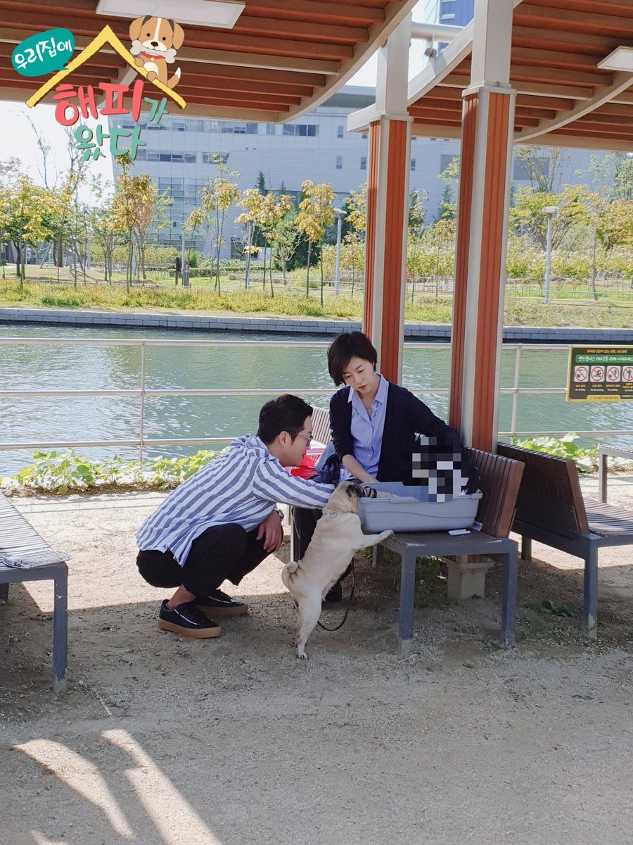 MBNHAPPY's tweet photo. 개아범 지상렬이 임시보호에 나섰다~
😍“외모가 어마무시해!”

힌트1) 방탄소년단 뺨치는 아이돌 외모?
힌트2) 매력 포인트 고소영 점?

첫눈에 지상렬을 홀딱 반하게 한
마성의 🐶해피! 그 정체는?

#지상렬 #MBN #우리집에해피가왔다 #해피가왔다 #임시보호 #유기견 #매주월요일밤11시 https://t.co/dIA8touR0S