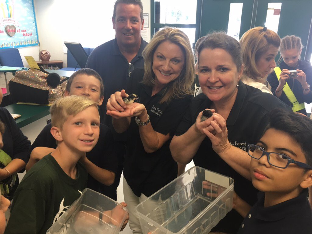 Binks Forest ES tweet media