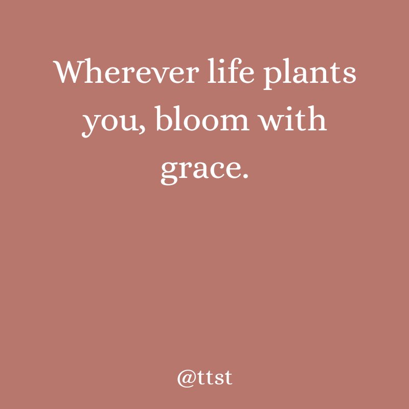 sawlanitwinkle's tweet photo. Whenever life plants you, bloom with grace!
#ttst #ttstalks #entrepreneur #success #businesswoman #hustle #business #midnset #hardwork #ambition #keytosuccess #entrepreneurspirit #hustlepreneur #work https://t.co/snlHIn4ig4