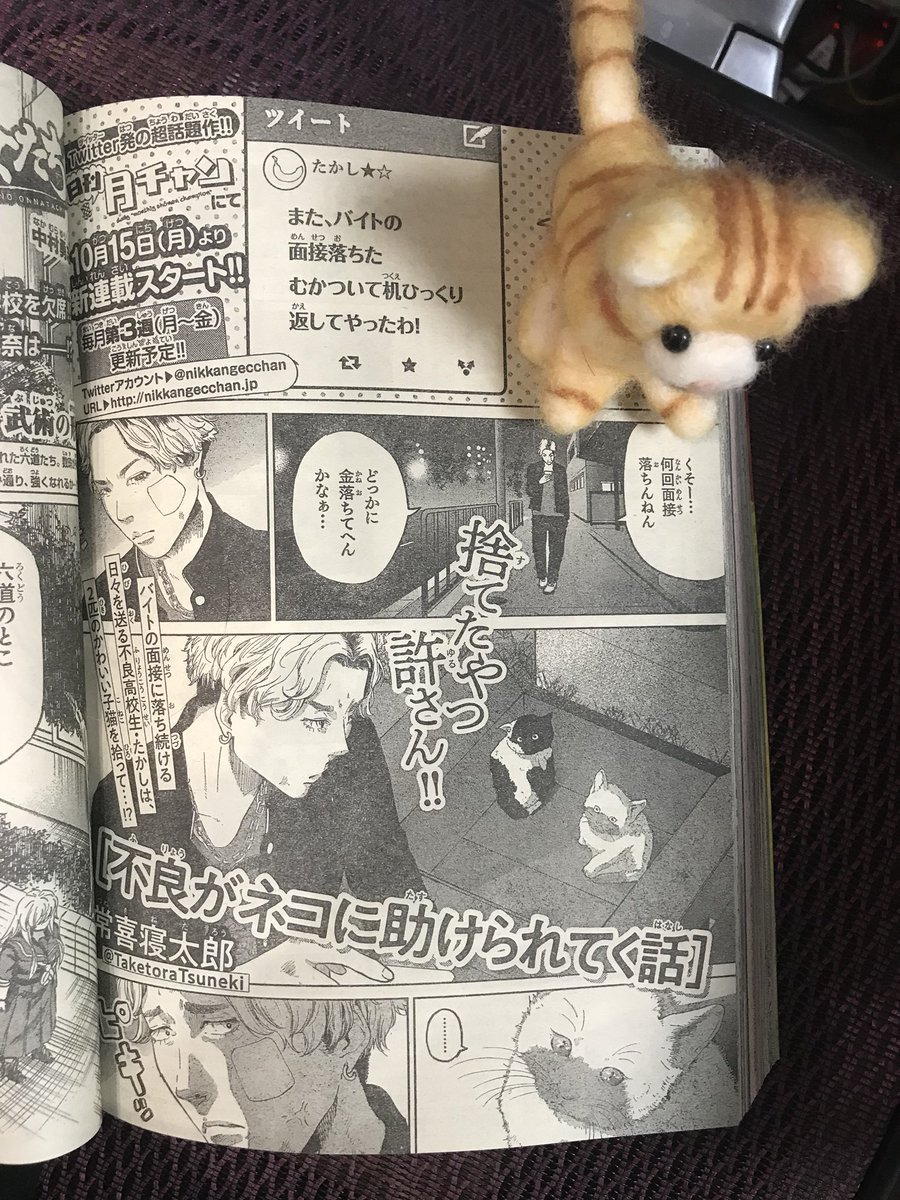 『告知?』
Twitterで更新してた『不良がネコに助けられてく話』が日刊月チャンで連載することになりました?
皆様の応援のおかげです…
2本連載になるので、毎月5ページという短い更新になりますが、よろしくお願いします！
1話リン… 
